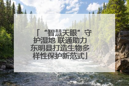 “智慧天眼”守护湿地 联通助力东明县打造生物多样性保护新范式